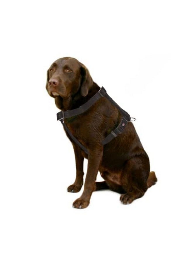 تريكسي حزام H-Harness الفاخر للكلاب، تصميم أنيق، شريط شبكي قابل للتعديل، تخفيف الضغط، أحزمة خفيفة الوزن وقابلة للتعديل (L-Xl، أسود) - Image 2