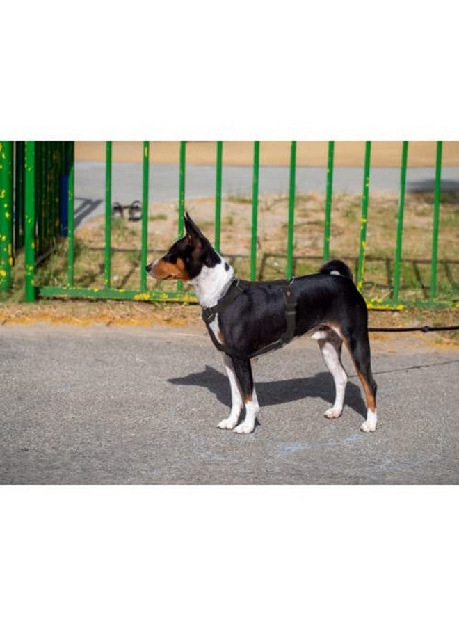 تريكسي حزام H-Harness الفاخر للكلاب، تصميم أنيق، شريط شبكي قابل للتعديل، تخفيف الضغط، أحزمة خفيفة الوزن وقابلة للتعديل (L-Xl، أسود) - Image 5