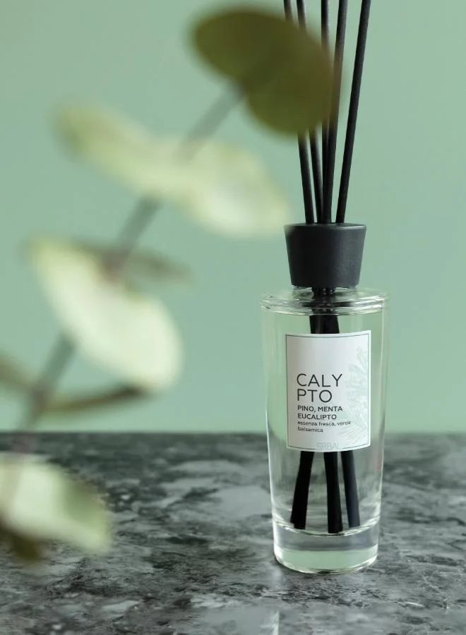 Erbal Calypto Diffuser 200ml