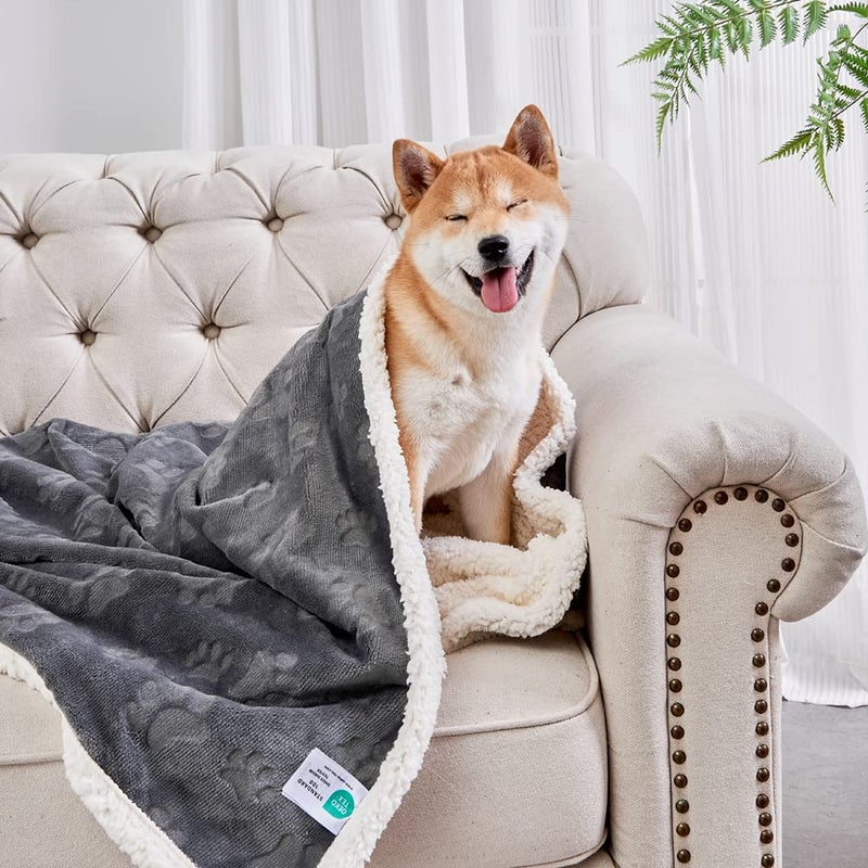 Qeils Dog Blankets for Small Dogs Waterproof Cat Blanket Washable Sherpa Fleece Puppy Blanket Soft Plush Reversible Throw Protector for Bed Couch Car Sofa 30X40 Dark Grey