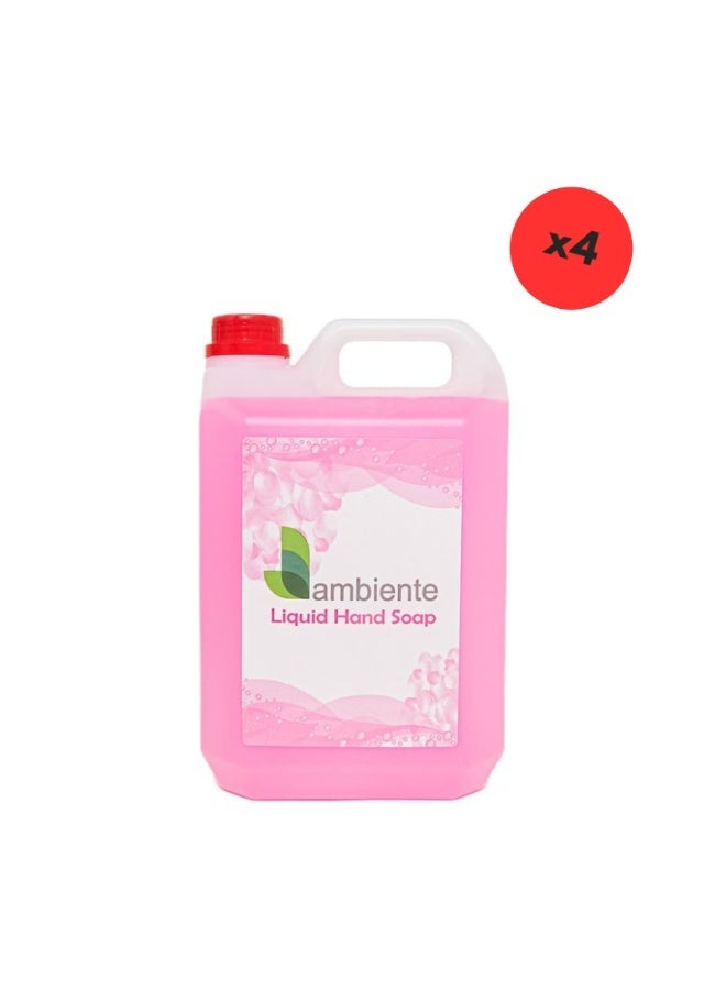 Ambiente Hand Wash 5L, Pack of 4 - Image 2