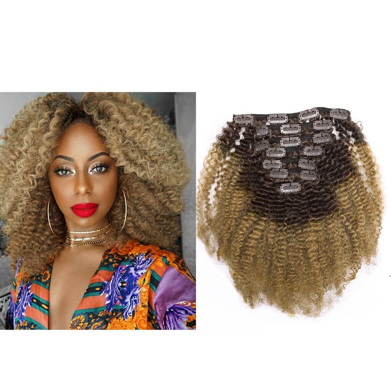 Lacer Hair Extensions Ombre Remy Clip in Human Hair Extensions Afro Kinky Curly 3C 4A 4B 100 Natural Black Hair Extensions 14 inch Two Tone T1B27 Strawberry Blonde Full Head