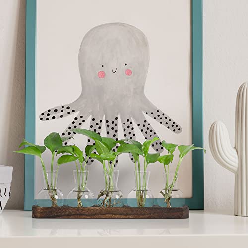 YIBOT Plant Propagation Stations,Glass Propagation Vases for Plants Terrarium with Wooden Tray Plant Lover Gifts for Propagating Hydroponic Plants Home Office Decor(5 Vase) - Image 4