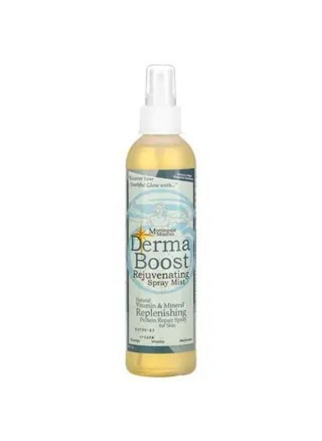 Morningstar Minerals Derma Boost Rejuvenating Spray Mist 8 fl oz - pzsku/Z0455AB73DA2C389E9AFCZ/45/_/1651475656/675005f1-3d83-464c-b64c-821e104ae700