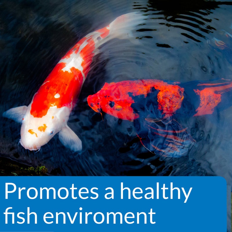 API POND ECOFIX SLUDGE DESTROYER Bacterial cleaner, Pond Water Clarifier and Sludge Remover Treatment 16-Ounce Bottle - Image 3