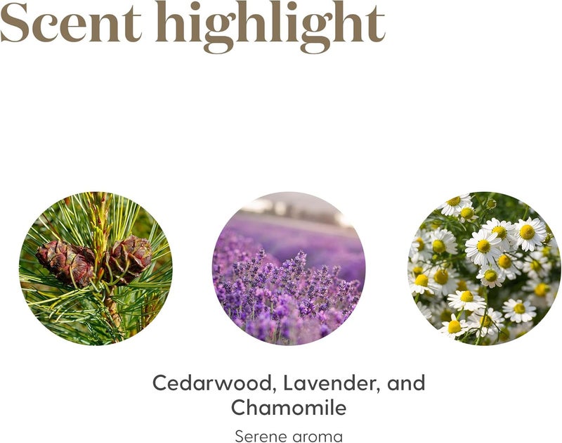 Young Living Tranquil Essential Oil Roll-On 10 ml - Image 5