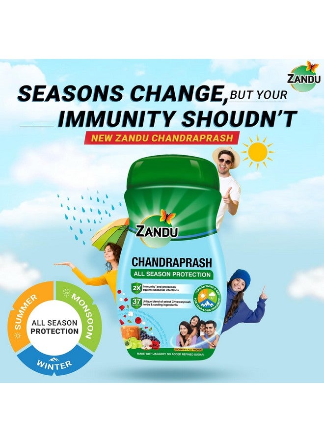 Zandu زاندو تشاندرا براش 900غ | 2X معزز المناعة بدون حرارة، حماية على مدار السنة تشايوان براش | مزيج من 37 مكون | مصنوع من الجاجري، بدون سكر مكرر مضاف - Image 2