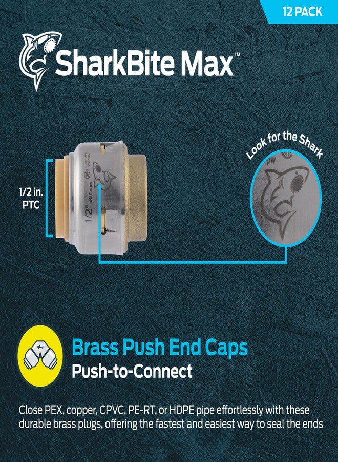 SharkBite Max 1/2 Inch Push Cap, Pack of 4, Push to Connect Brass Plumbing Fitting, PEX Pipe, Copper, CPVC, PE-RT, HDPE, UR514A4 - Image 2