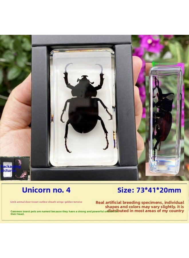 Insect Specimen Real Mono Fairy Amber Scarab Book Town Home Desk Decoration Mantis Spider Scorpion Factory-Color:Unicorn Fairy No. 4  - Image 1