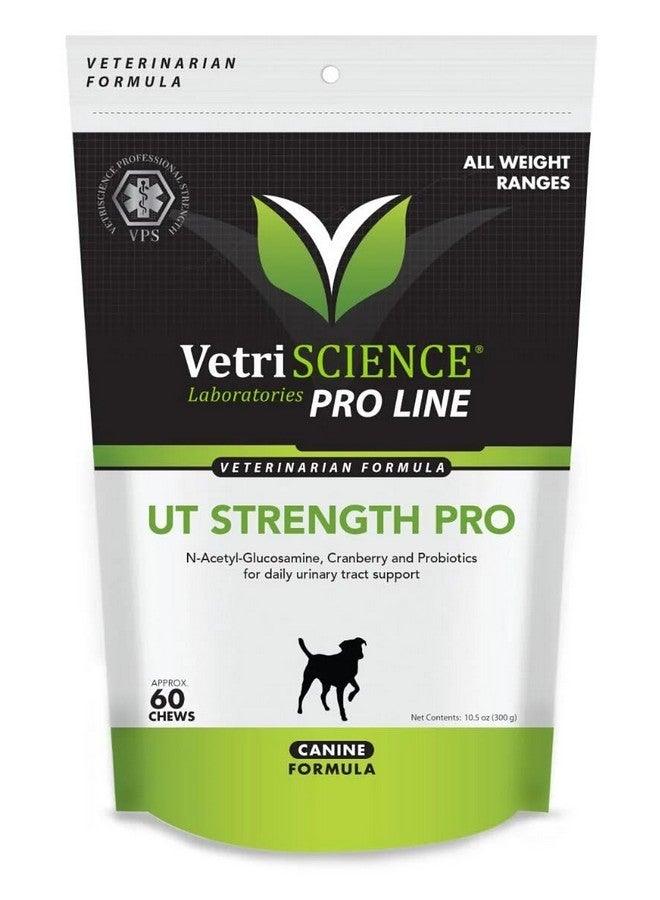 VetriScience Laboratories Ut Strength Pro  Bladder & Ut Health Supplement For Dogs  Formula Aids Bladder Function & Comfort  Canine Supplement Supports Urinary Tract Maintenance  60 Chews - Image 1