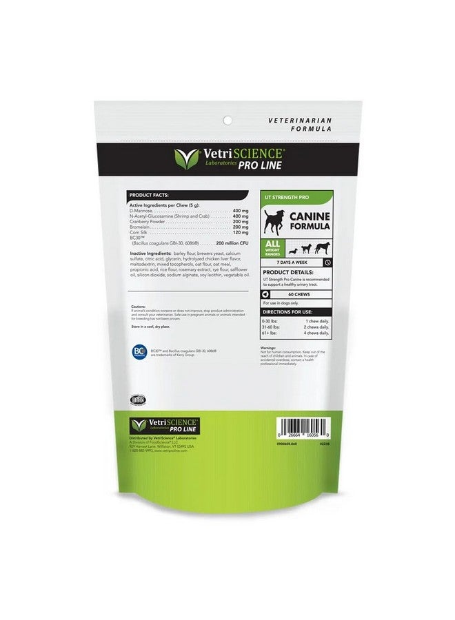 VetriScience Laboratories Ut Strength Pro  Bladder & Ut Health Supplement For Dogs  Formula Aids Bladder Function & Comfort  Canine Supplement Supports Urinary Tract Maintenance  60 Chews - Image 2