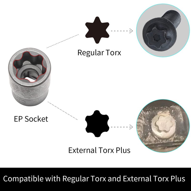 DPTOOL External Torx Plus Socket Set 6 Point EP Socket EP4, EP5, EP6, EP7, EP8, EP10, EP11, EP12, EP14, EP16, EP18, EP20, EP22, EP24, EP26, EP28, EP30, EP32 with 1/2'' 3/8'' 1/4'' Dr E-Torx Plus Sockets 19pc - Image 4
