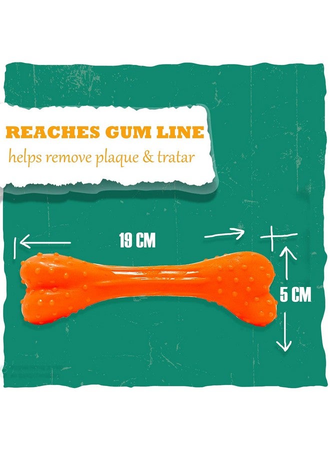 عظمة مضغ لعبة للكلاب لجميع أحجام الكلاب الصغيرة والمتوسطة والكبيرة والبالغة والحيوانات الأليفة - Image 3