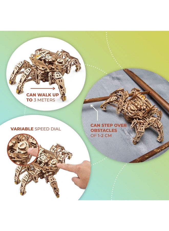 أوجيرز لغز UGEARS Hexapod Explorer ثلاثي الأبعاد - روبوت عنكبوت ميكانيكي بمحرك زنبركي قوي - ألغاز خشبية ثلاثية الأبعاد للكبار والصغار مجموعة ألغاز روبوت خشبية ثلاثية الأبعاد (يصل طولها إلى 10 أقدام) - Image 3
