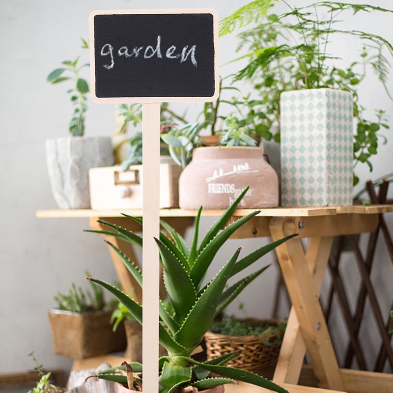 10Pcs Plant Sign Tag Plants Flower Price Tag Mini Message Blackboard Garden Decoration - Image 3