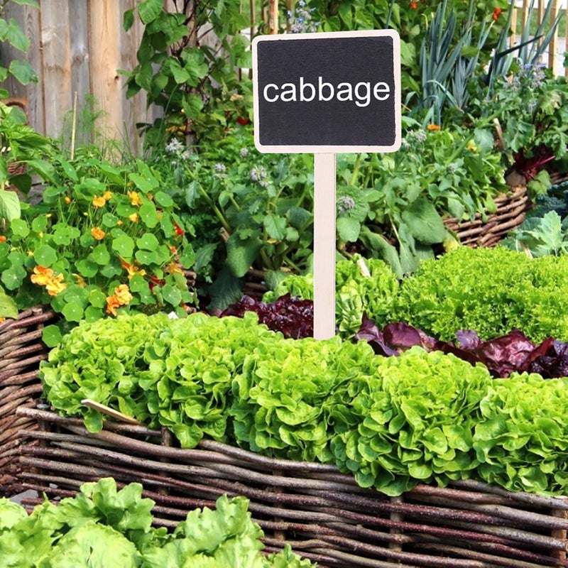 10Pcs Plant Sign Tag Plants Flower Price Tag Mini Message Blackboard Garden Decoration - Image 4