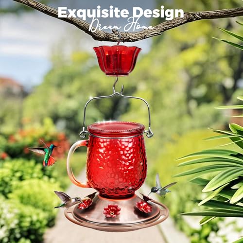 Kingsyard Glass Hummingbird Feeders for Outdoors, 16 Oz Wild Bird Feeder 6 Feeding Ports & Ant Moat Included, Hanging Bird Nectar Feeder Garden Red Décor Gifts for Mom, Red - Image 3