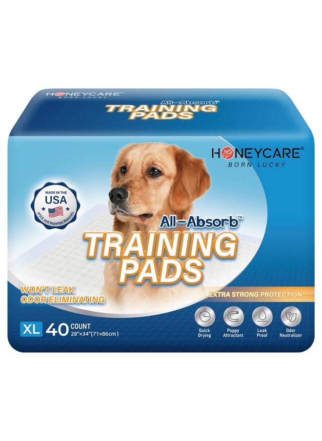 HONEY CARE HONEY CARE All-Absorb, X-Large 28" x 34", 40 Count, Dog and Puppy Training Pads, Ultra Absorbent and Odor Eliminating, Leak-Proof 5-Layer Potty Training Pads with Quick-Dry Surface, Blue  - Image 1