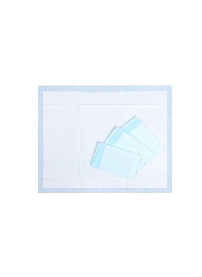 HONEY CARE HONEY CARE All-Absorb, X-Large 28" x 34", 40 Count, Dog and Puppy Training Pads, Ultra Absorbent and Odor Eliminating, Leak-Proof 5-Layer Potty Training Pads with Quick-Dry Surface, Blue  - Image 2