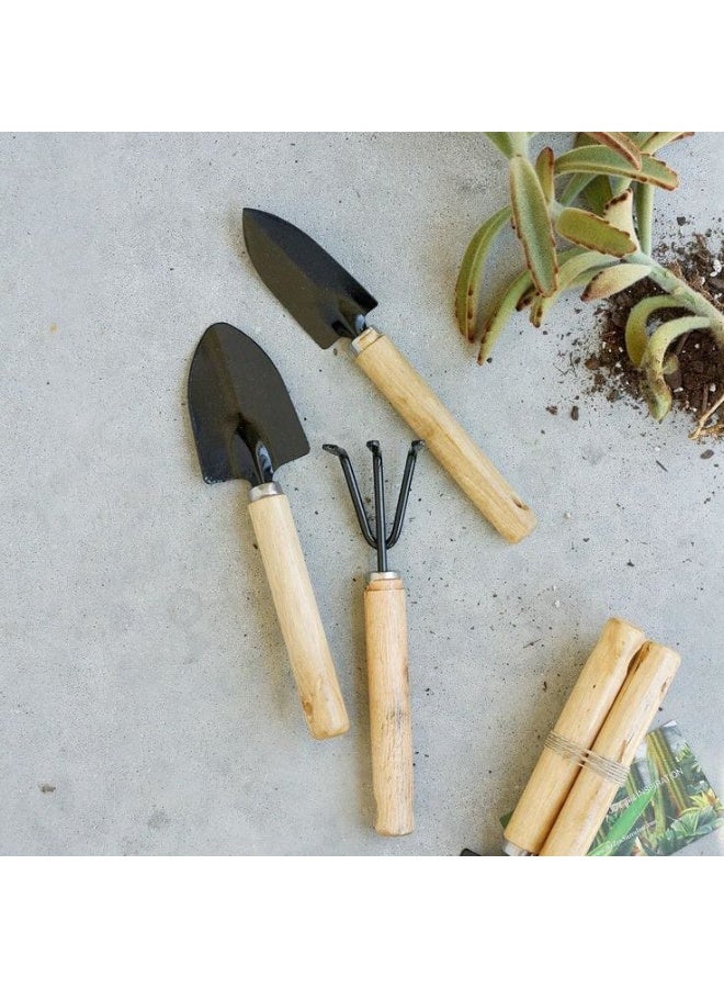 Miniature Gardening Tool Set, 3 Pcs Wooden Handles 2 Shovels and 1 Picker for Indoor Plants and Succulent Care - Image 1