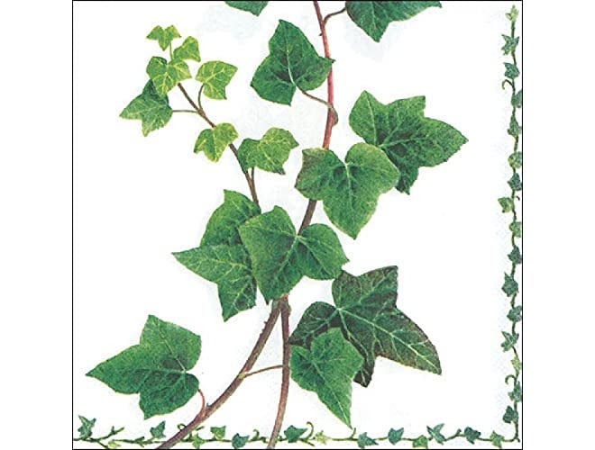 DCAD Decoupage Napkins Craft Supplies - Ivy Tendril (Pack of 20 Same Design)