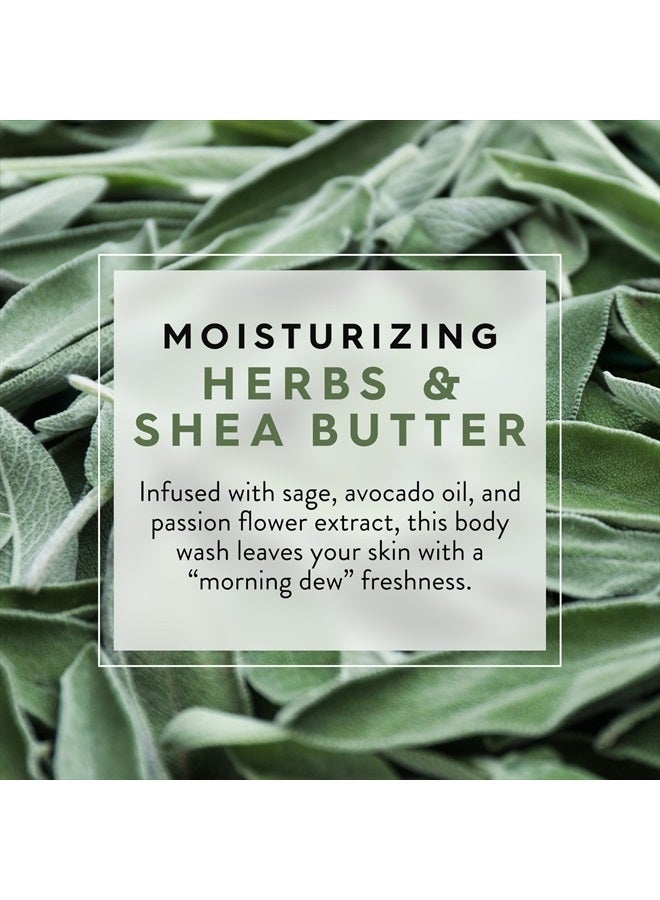 Jason Herbs and Shea Butter Moisturizing Body Wash, For a Gentle Feeling Clean, 30 Fluid Ounces - Image 3