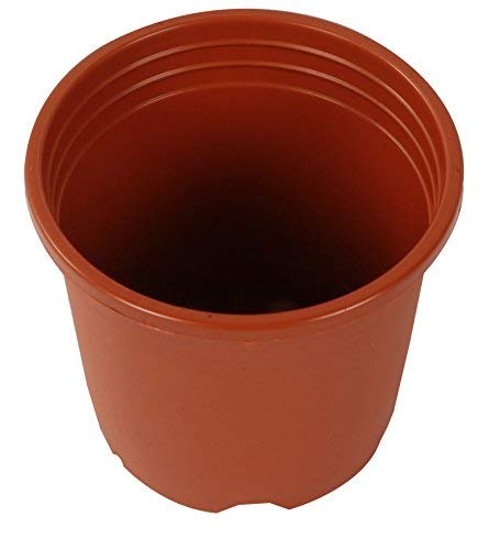 CAPPL 9 Inch (22 cm) Plastic Pot Round (Terracotta, 5 Pieces) - Image 3