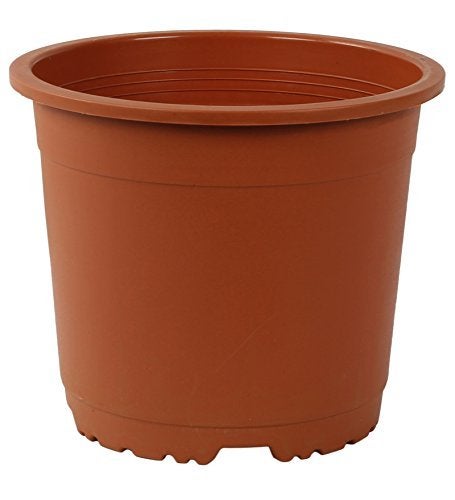 CAPPL 9 Inch (22 cm) Plastic Pot Round (Terracotta, 5 Pieces) - Image 2