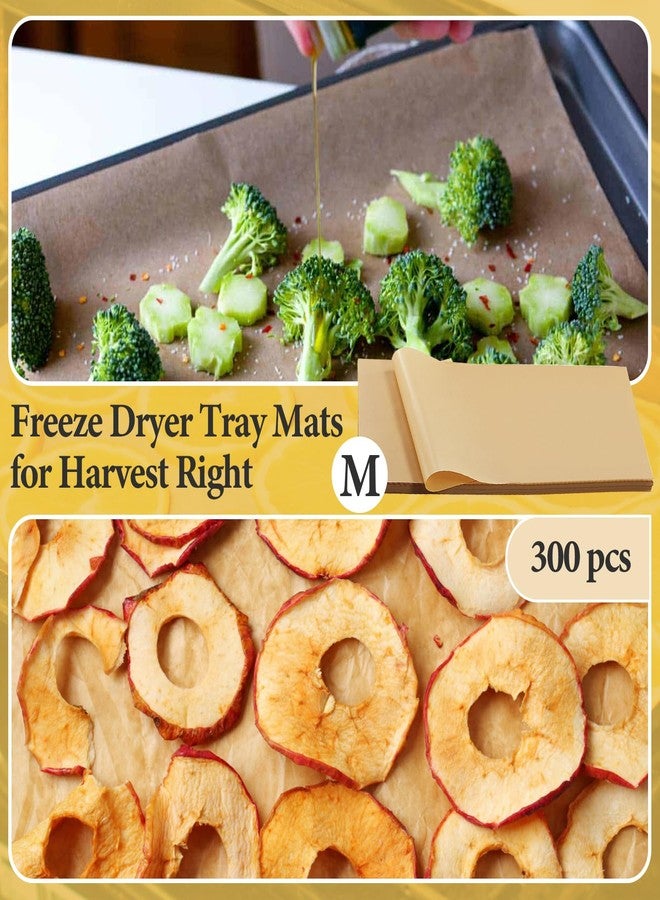 Iffitya 300 PCS Freeze Dryer Tray Mats for Harvest Right Dryer - Freeze Dryer Parchment Paper Set for Medium Trays - Non-Stick Baking Mats One-Off Parchment Paper Harvest Right Accessories (17" x 6.8") - Image 4
