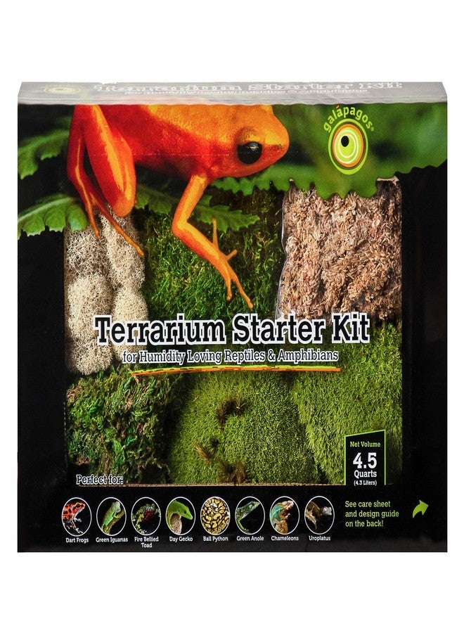 Galapagos Galápagos (05350) Humid Environment Terrarium Kit – Essential Moss Accessories for Dart Frogs, Iguanas, Chameleons & Reptile Tanks - Image 1