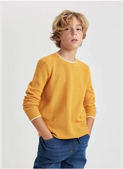 DeFacto Boy Regular Fit Crew Neck Pullover
