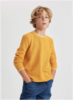 DeFacto Boy Regular Fit Crew Neck Pullover  - Image 1