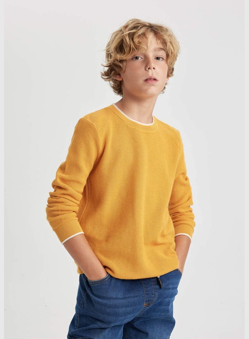 DeFacto Boy Regular Fit Crew Neck Pullover - Image 1