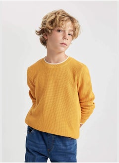DeFacto Boy Regular Fit Crew Neck Pullover  - Image 3