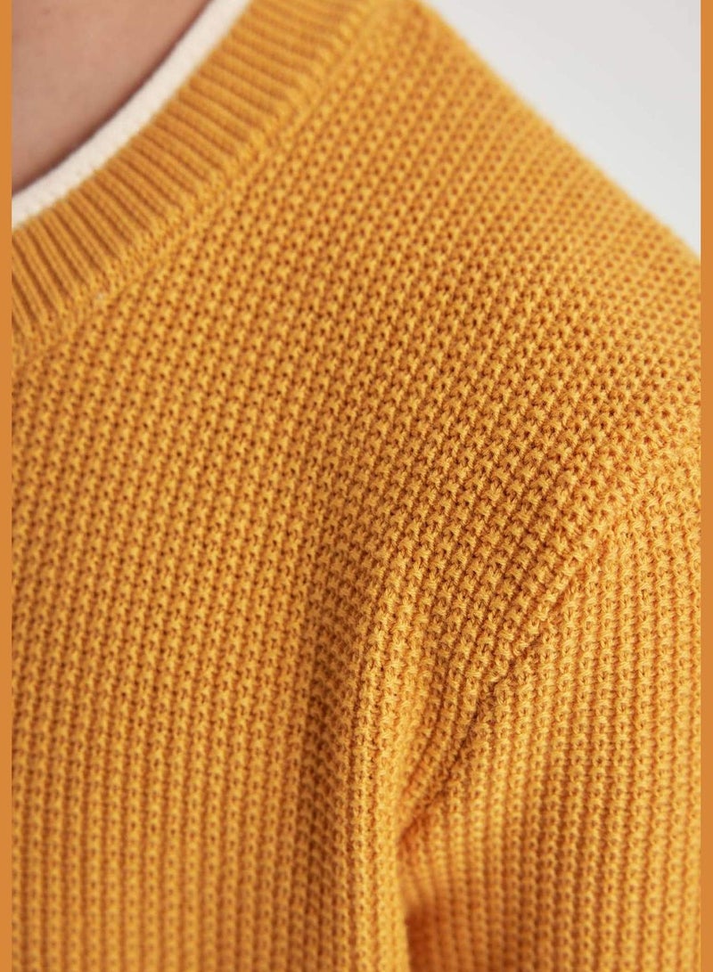 DeFacto Boy Regular Fit Crew Neck Pullover - Image 4