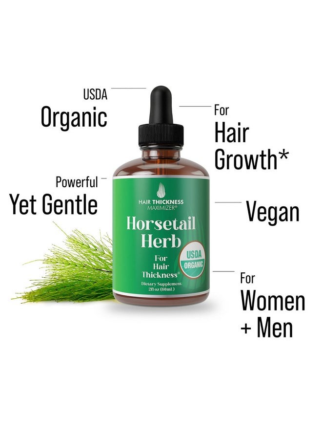 HAIR THICKNESS MAXIMIZER Usda Organic Horsetail Herb Liquid Drops For Hair Growth, Thickening. Vegan, Pleasant Tasting Supplement With Horsetail. Zero Sugar, Alcohol Free Hair Vitamins For Women And Men 