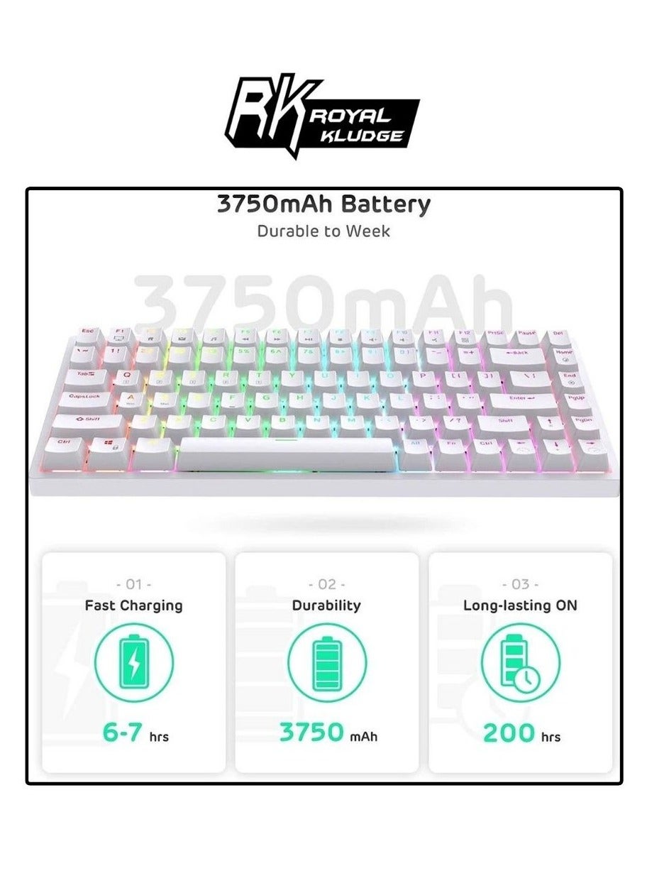 ROYAL KLUDGE GAMING KEYBOARD RGB TRI MODE HOT PLUG BROWN SWITCH WHITE RK84