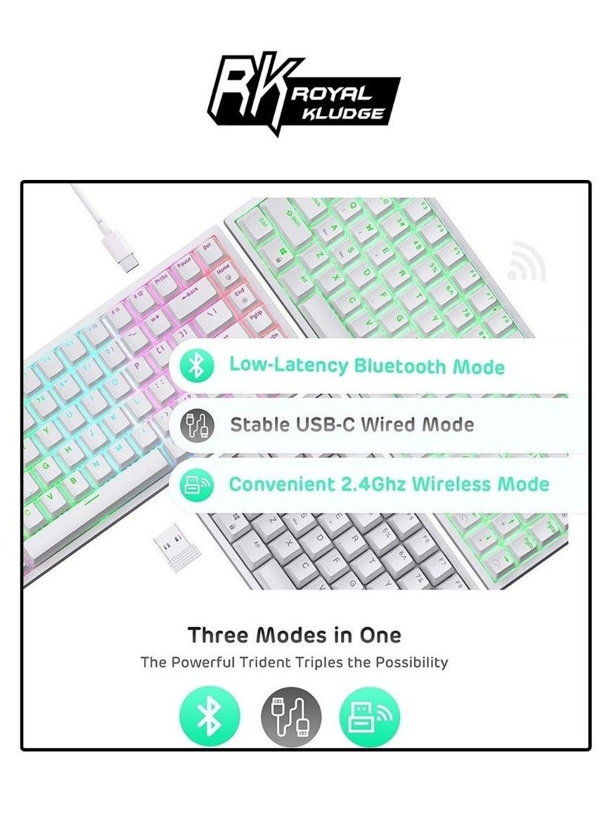 ROYAL KLUDGE GAMING KEYBOARD RGB TRI MODE HOT PLUG BROWN SWITCH WHITE RK84