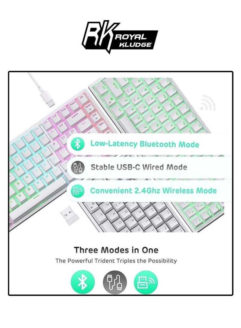 رويال كلودج لوحة مفاتيح ميكانيكية ROYAL KLUDGE RK84 TRI-MODE RGB 84 مفتاح قابلة للتبديل بالحرارة بيضاء (مفتاح بني) - Image 2