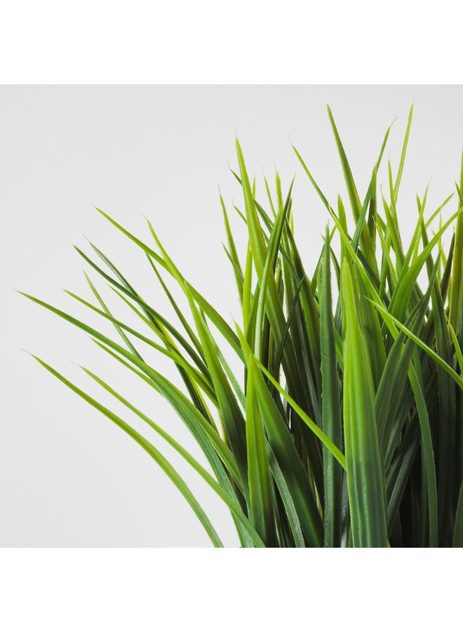 Zaboon Artificial Potted Plant, In/Outdoor Grass, 9 Cm - Image 5