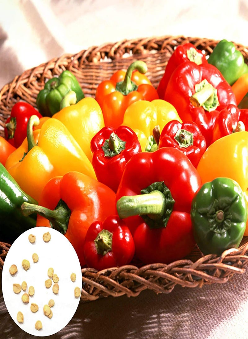 GGOOT 40Pcs/Bag Seeds,Edible Living Household Rainbow Pepper Seeds for Greenhouse Sweet Pepper Seeds - Image 1
