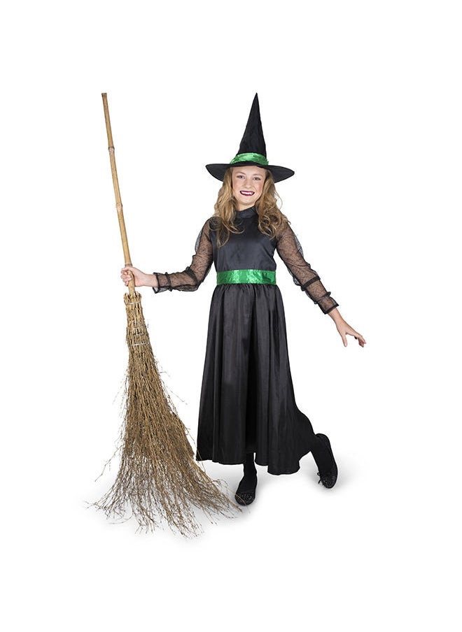 Party Magic Storybook Witch Costume - L 