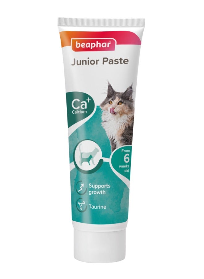 بيفار معجون القطط الصغير 100 جرام - Image 1