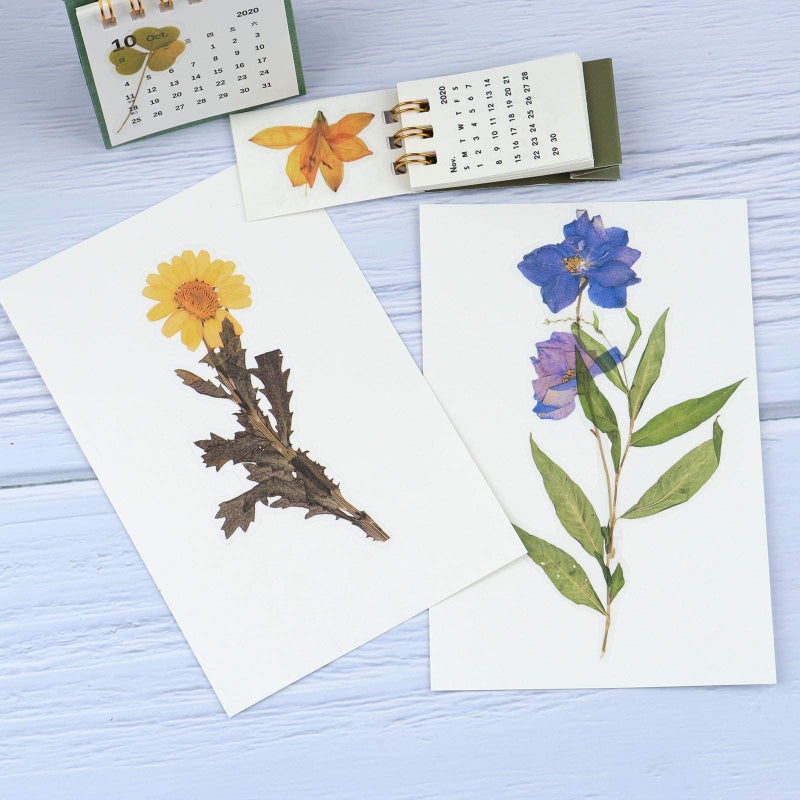 RisyPisy 160pcs Pre-Cut Scrapbooks Natural Stickers, Floral and Plant Sticker for DIY Craft, Planners, Journal, Notebook, Laptop, Cell Phone, Calendars, Wedding Scrapbooking, PET Material, Colorful - Image 5