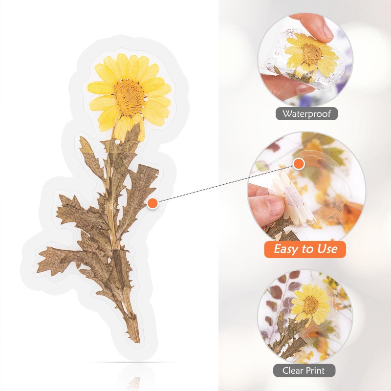 RisyPisy 160pcs Pre-Cut Scrapbooks Natural Stickers, Floral and Plant Sticker for DIY Craft, Planners, Journal, Notebook, Laptop, Cell Phone, Calendars, Wedding Scrapbooking, PET Material, Colorful - Image 3