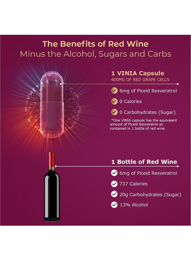 VINIA مكمل غذائي بيسيد ريسفيراترول يدوم مفعوله ١٢ ساعة. مكمل أكسيد النيتريك. يدعم صحة القلب وتدفق الدم، مسحوق غذاء فائق معزز للأكسجين، مناسب لحمية الكيتو. نباتي وغير معدل وراثيًا. إمداد لمدة ٦٠ يومًا. - Image 2