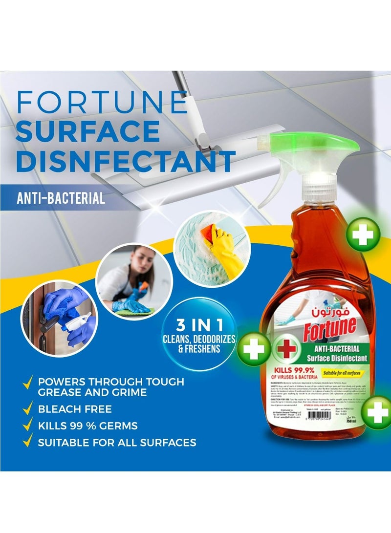 Fortune Home Cleaning Saver Bundle with Glass cleaner 2x800ML + Lavender floor cleaner 5L + Surface spray 750 ML - Image 3