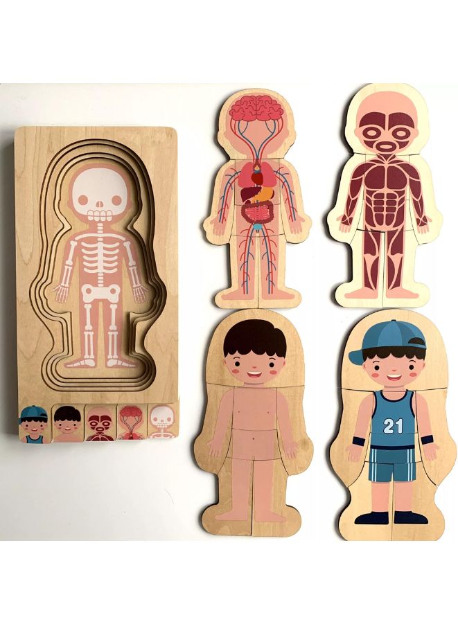 الأطفال التعليمية خشبية هيكل جسم الإنسان الألغاز الخشبية للأطفال (الصبي) - Image 3