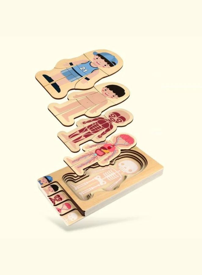 الأطفال التعليمية خشبية هيكل جسم الإنسان الألغاز الخشبية للأطفال (الصبي) - Image 2