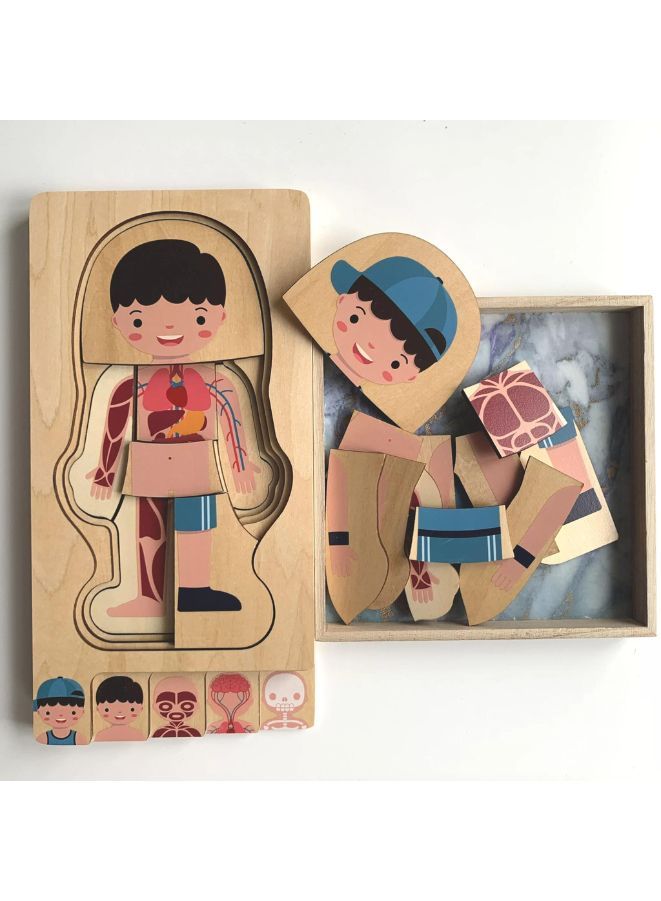 الأطفال التعليمية خشبية هيكل جسم الإنسان الألغاز الخشبية للأطفال (الصبي) - Image 4